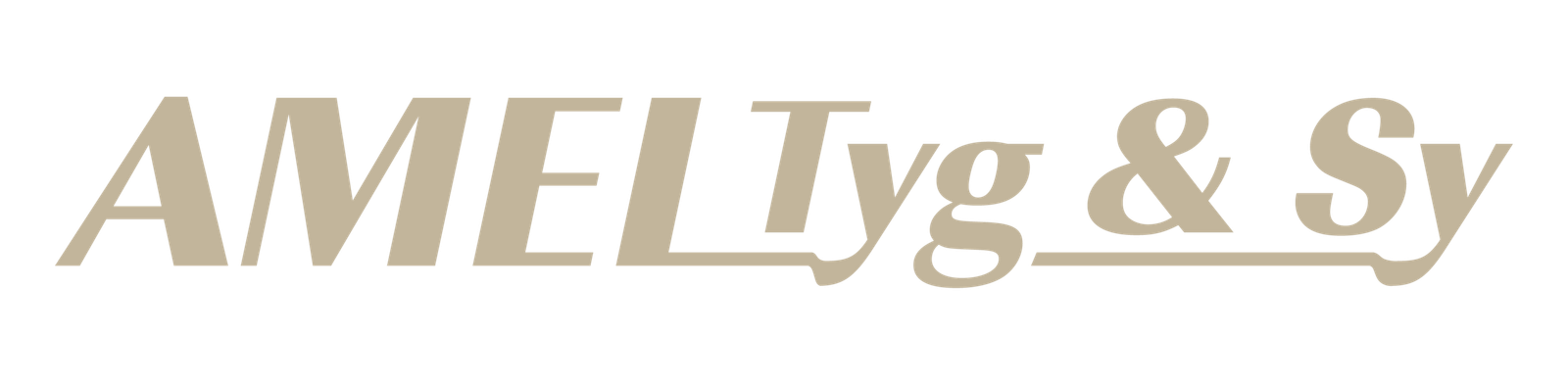ny logo 2 2025 01